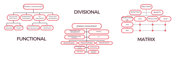 Organisational Chart Models