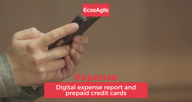 EcosAgile Expense Digital Expense Report VISA Prepaid Corporate Credit Cards