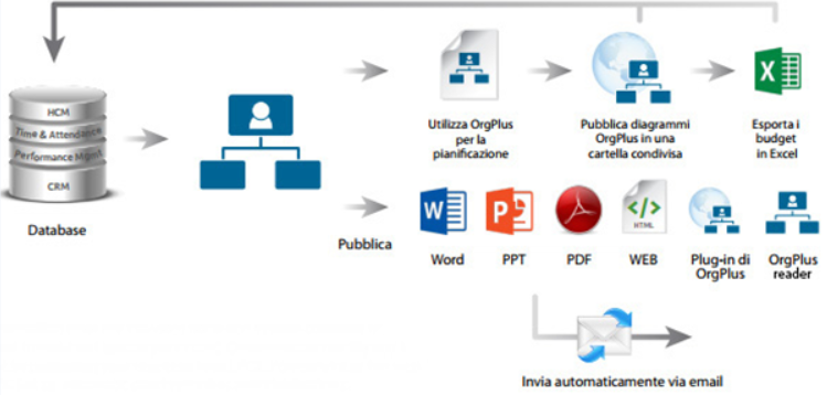 OrgPlus Software Organigrammi Visualizzazione Forza Lavoro Organizzazione Risorse Umane Organigramma aziendale struttura organizzativa Informazione Personale