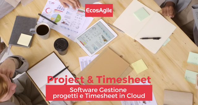 Project e Timesheet Gestione Progetti Project Management