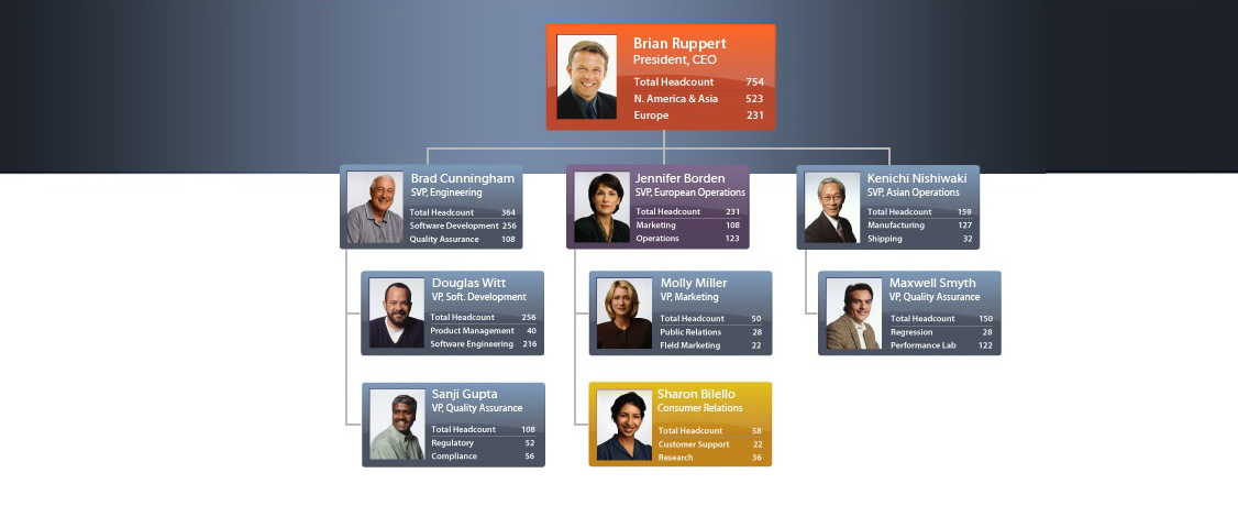Org Charts Desktop Software Organisation Chart Template Organisational Structure Hierarchies Human Resources Insperity OrgPlus