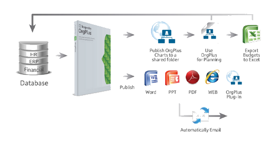 Organigramm-Software Organisationsstruktur Hierarchien Human Resources Insperity OrgPlus