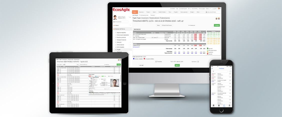 software gestão de projetos timesheet project management