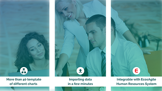 software de organogramas estrutura organizativa hierarquias recursos humanos Insperity OrgPlus