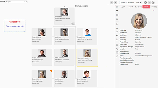 Orgchart Agile software organigrammi organigramma grafici org chart